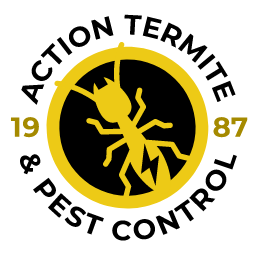 New Logo